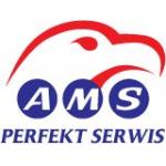 AMS-PERFEKT Serwis Sp. z o.o. spółka komandytowa